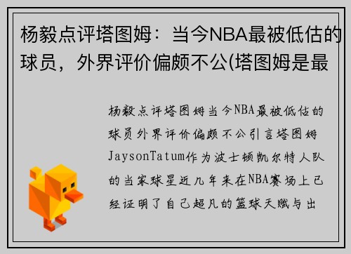 杨毅点评塔图姆：当今NBA最被低估的球员，外界评价偏颇不公(塔图姆是最佳新秀吗)