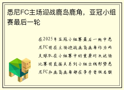 悉尼FC主场迎战鹿岛鹿角，亚冠小组赛最后一轮