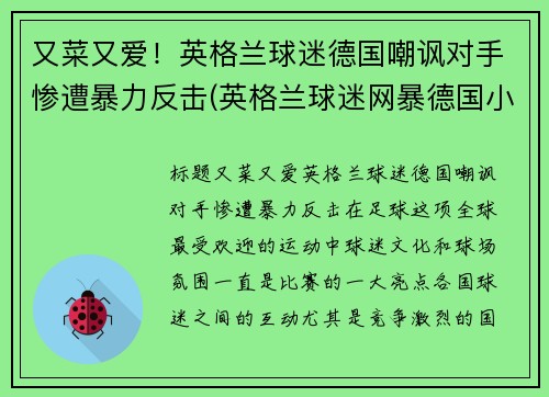 又菜又爱！英格兰球迷德国嘲讽对手惨遭暴力反击(英格兰球迷网暴德国小球迷)