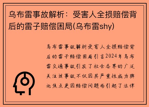 乌布雷事故解析：受害人全损赔偿背后的雷子赔偿困局(乌布雷shy)