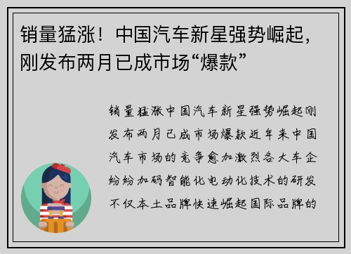 销量猛涨！中国汽车新星强势崛起，刚发布两月已成市场“爆款”